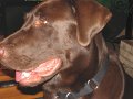 2010-06-28 Hemi_0001